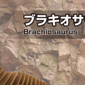 ブラキオサウルス