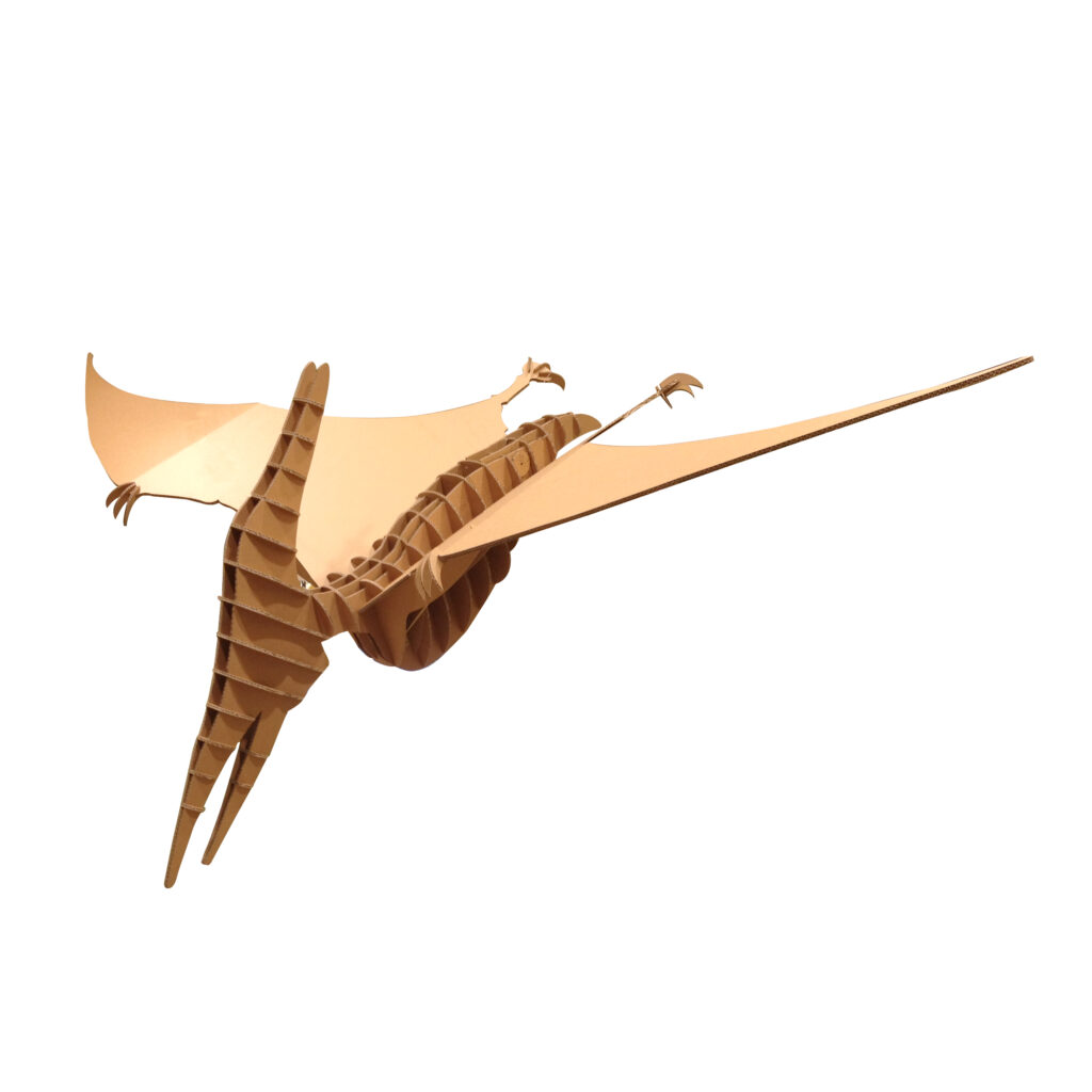 プテラノドン プテラノドン | ダンボールの印刷・オーダーならオーダンボール